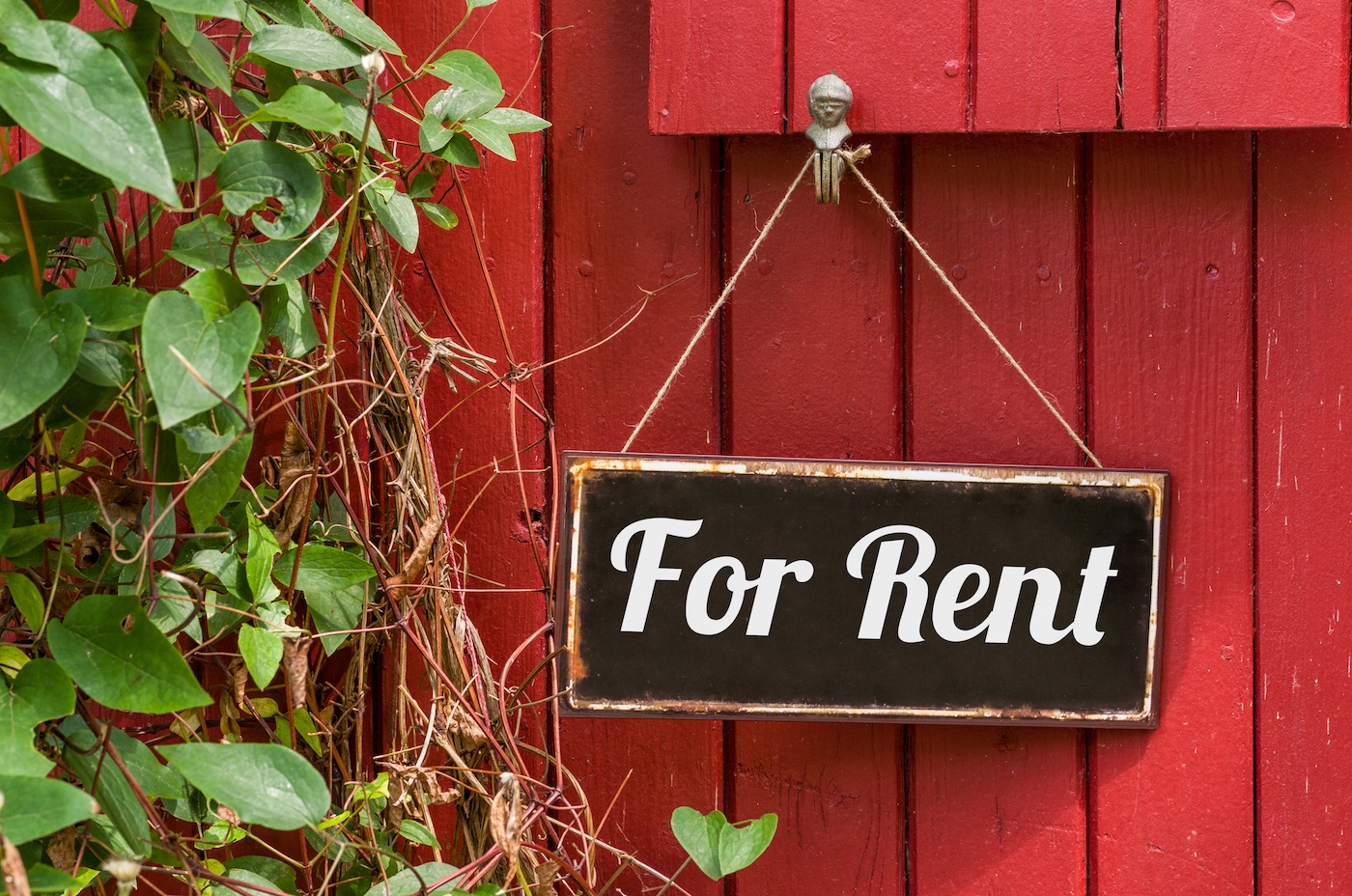 renting a property