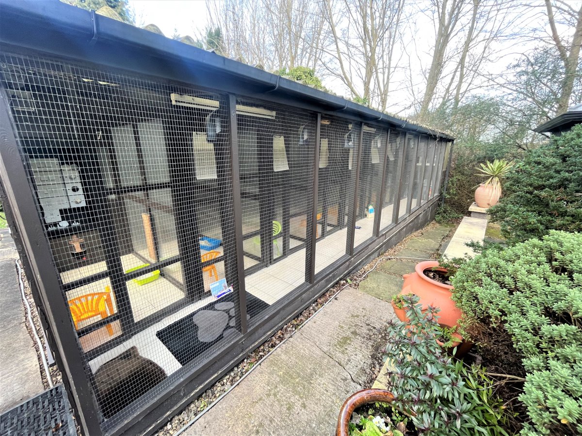 11 Goosehill Cattery, Goosehill Lane Wakefield  WF6 2JB image 13