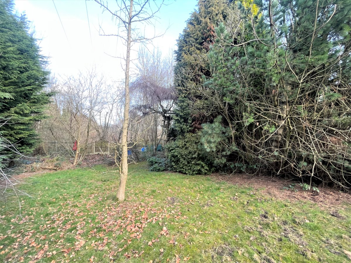 11 Goosehill Cattery, Goosehill Lane Wakefield  WF6 2JB image 7
